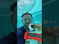 Когда горка вдруг закончилась… 💦😱🐶