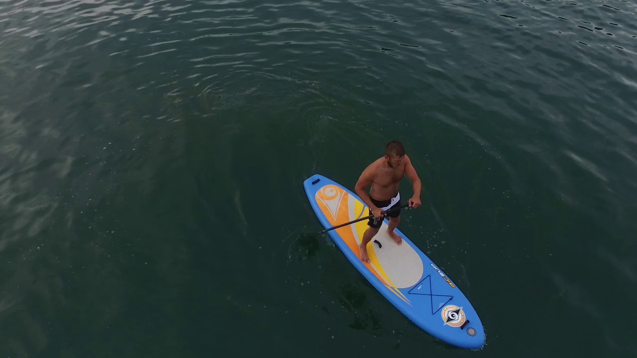 Stand Up Paddling Bodensee 2017 YouTube