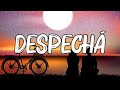 ROSALÍA DESPECHÁ Letra Lyrics