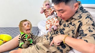 Monkey Kaka was frightened when Monkey Mit peed on her dad