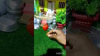 Mini tomato dizain 🍅🤭 #shorts #youtubeshorts #miniaturefood #viral #trending #subscribe #vews