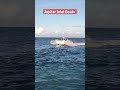 REPORTING LIVE FRIDAY AFTERNOON FROM THE JUPITER INLET #roughinlets #jupiterinletboats