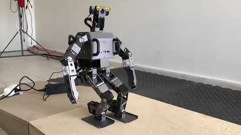 Robotis Op3  Polynomıal Gait Generation