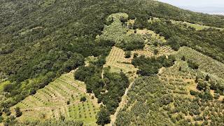 CERCHI UN TERRENO AGRICOLO PANORAMICO? - 195D