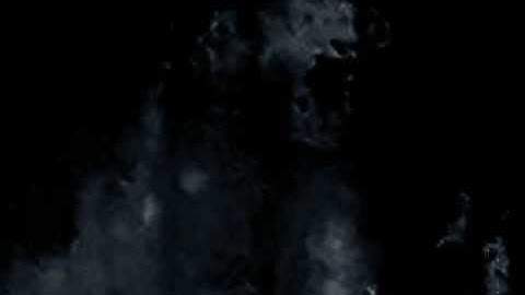 A Cloud Forest - Where Shadows Dissolve