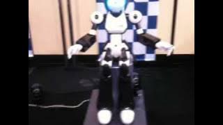 i Fairy Reptionist Robot from KOKORO