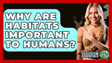 Why Are Habitats Important To Humans? - Ecosystem Essentials