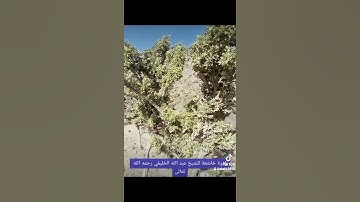 تلاوةخاشعة فضيلة الشيخ عبدالله الخليفي رحمه الله تعالى