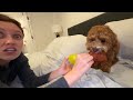 End of video