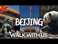 جولة سير ا على الأقدام في بكين ساحة تيانانمن والمدينة المحرمة والباندا العملاقة في عاصمة الصين