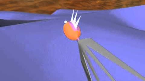 The Adventures of Alfred the Fish