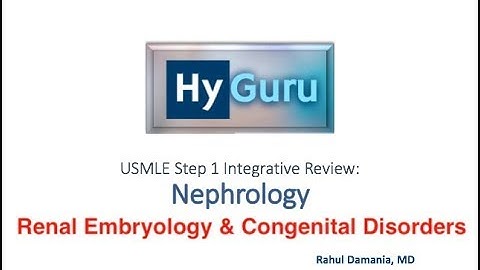 HyGuru USMLE Step 1: Nephrology | Renal Embryology & Congenital Disorders