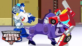 Transformers: Rescue Bots | S02 E13 | FULL Episode | Cartoons for Kids | Transformers Junior