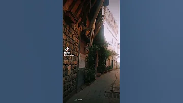 فلينا وباقي بعينينا أشواق وحكي فضل شاكر دمشق تصويري 
