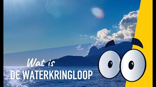 Video afspelen