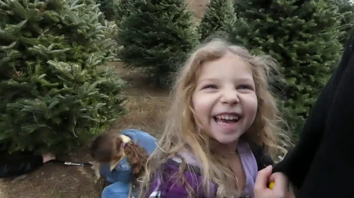 Cutting Our Christmas Tree,  2017