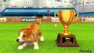 Nintendogs+Cats:All the Dogs