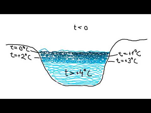 Почему вода легче при 4 градусах и замерзает на поверхности?