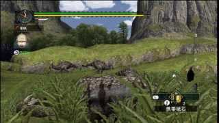 【MH(モンスターハンター)G】Wiiの世界で・・・　PART0