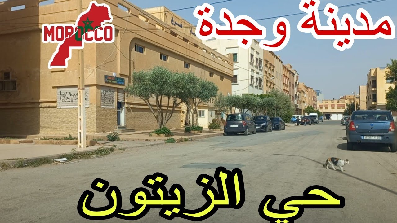 وجدة2025\04\20جولة في حي الزيتون بنايات جديدة في الحي وشقق وقطع أرضية أجمل ما فالحي موقعه فقلب وجدة😍