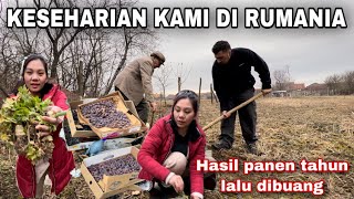 KEHIDUPAN KAMI DI DESA di EROPA SEMUA DIKERJAKAN SENDIRI | MASAKIN INDOMIE BUAT PENJAGA RUMAH