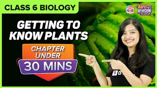 Getting to know plants | Full Chapter Revision under 30 mins | Class 6 Science