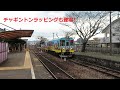 長良川鉄道 関駅周辺撮影！ チャギントン列車も！