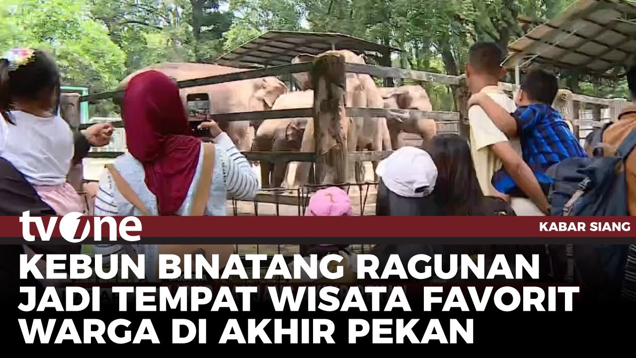 Isi Libur Sambil Wisata Edukasi di Kebun Binatang Ragunan | Kabar Siang tvOne