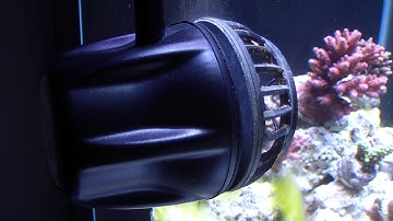 Marine Tank & Vortech MP10 Noise on 10mm Glass