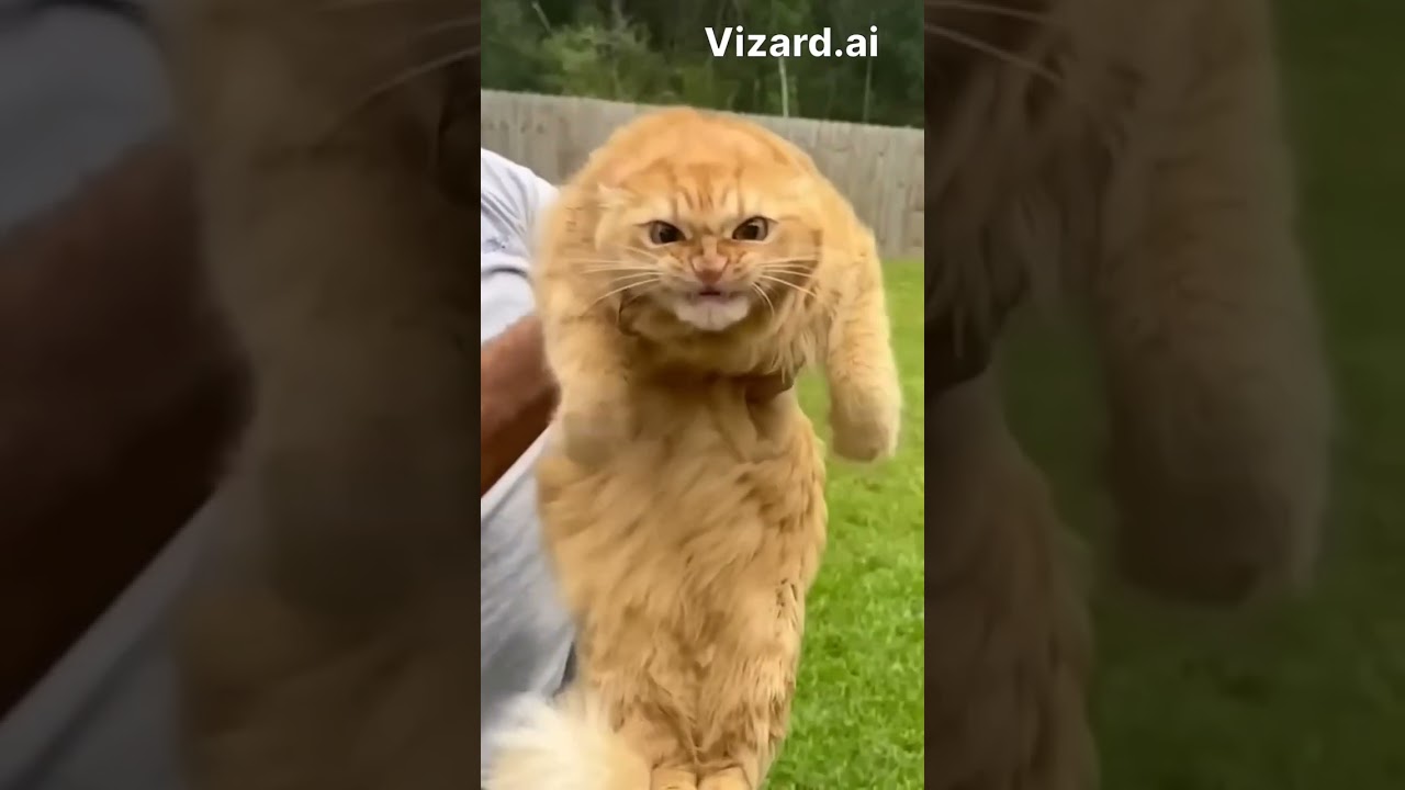 🤦‍♀️😂”