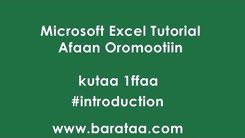 Microsoft Excel tutorial Afaan Oromootiin kutaa 1ffaa