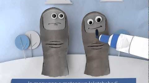 Learn the Voting Process (Sesotho) - IEC