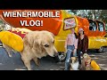 I rode in the weinermobile with my dog ive peaked