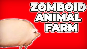 The BEST Animal Guide for Project Zomboid build 42