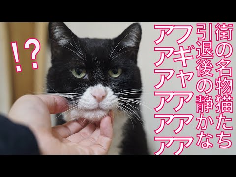 25718❤猫好き( ΦωΦ )ねこがかおあらうわけ ぬふぅ…