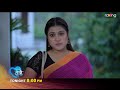 Bristi    promo 31st may 2024  ep no 257