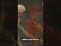 Nature’s Craziest Survival Hacks Revealed