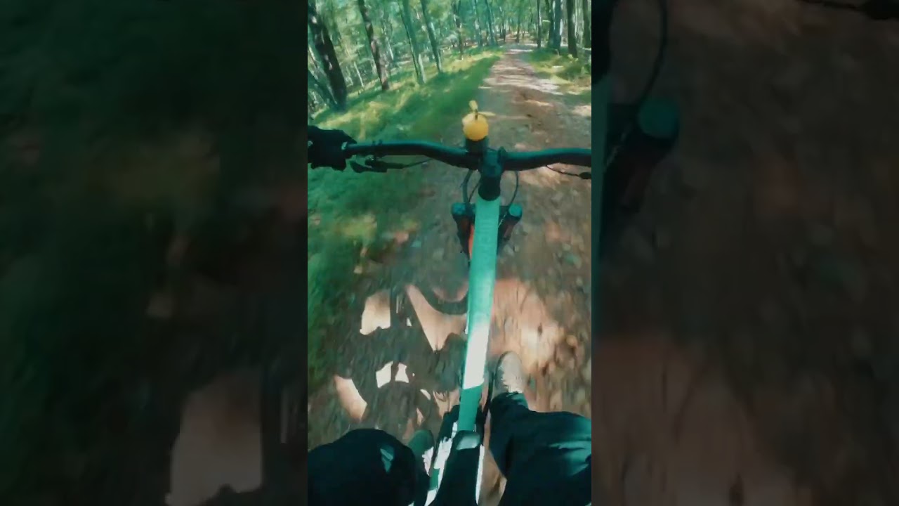 Love going back to Lewis Morris! 