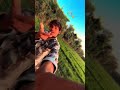 #song #bollywood #love#shorts#viral#viralvideo #shortvideo હજાર 18,24,918