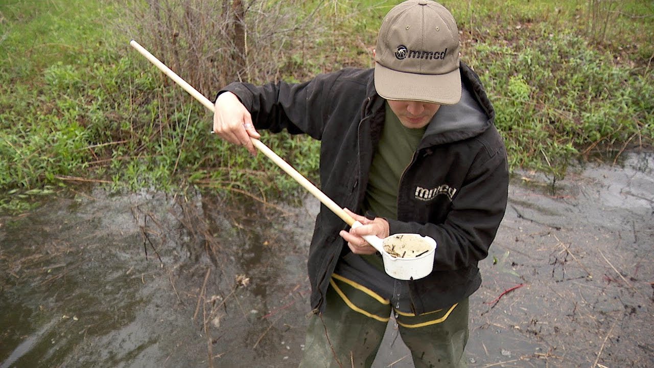 Rainy Spring Has Mosquito Control on Alert