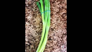 Aunties Cornish Hens