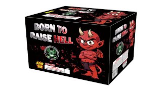 Born To Raise Hell - 3858 (Pyro Demon)
