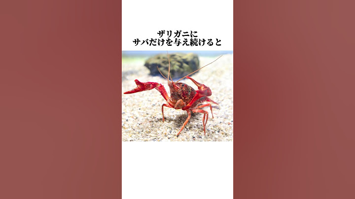 【ザリガニ】の面白い雑学 #shorts #ザリガニ #雑学