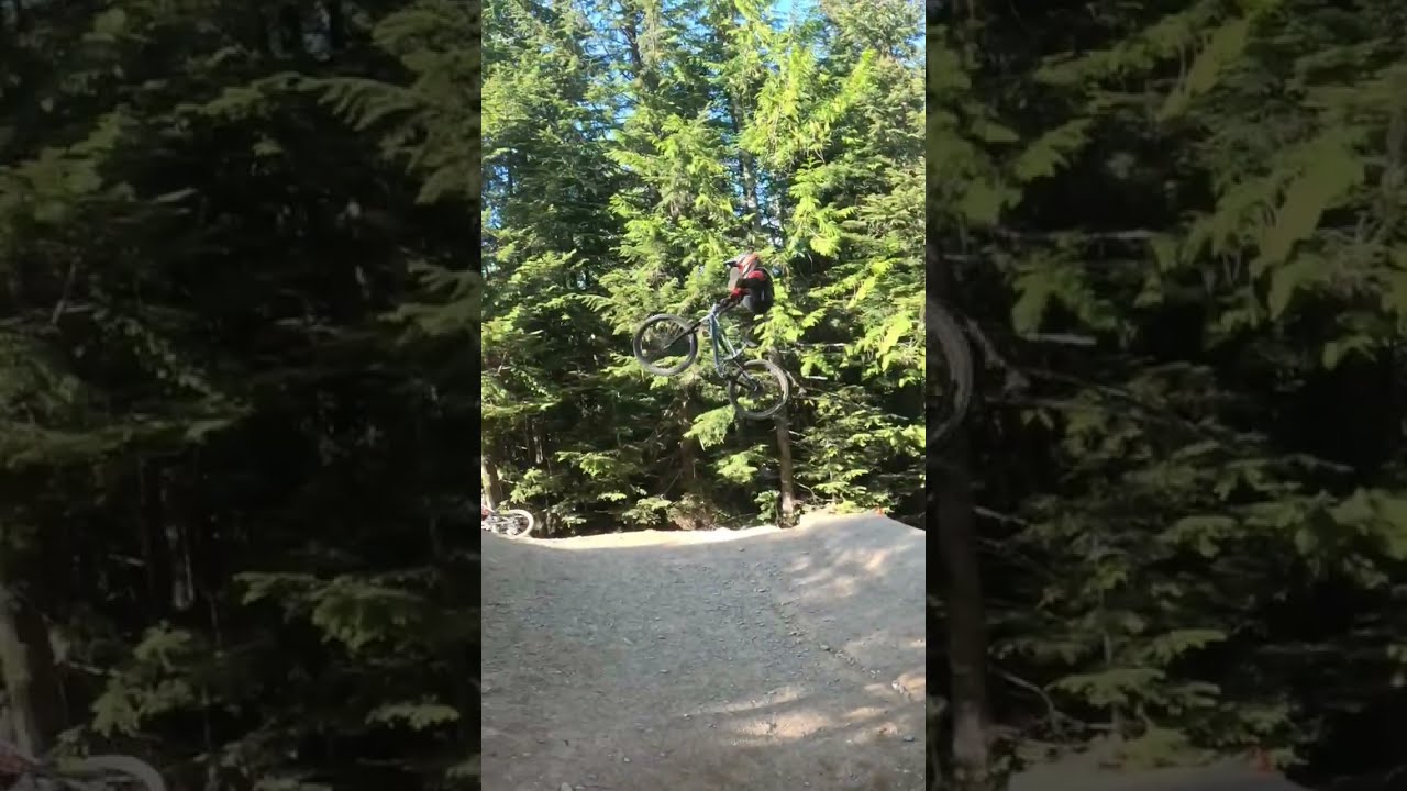 Dirt Merchant Step Up Bike
