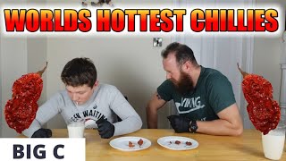 3 OF WORLDS HOTTEST PEPPERS CHALLENGE INCLUDING THE CAROLINA REAPER PEPPER - 2.2 MILLION SCOVILLE