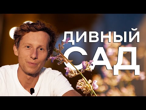 Дивный сад —