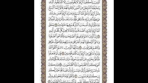 القرآن الكريم | القارئ ياسر الدوسري صفحة 47 سورة البقرة