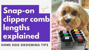 How To Use Attachment Combs For Home Grooming | Comb Lengths Explained