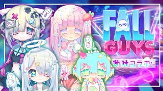 【Fall Guys/Season4.5】かわいいいもうとたちといっしょにげーむできてしあわせ。【 vtuber / 繋柚葉視点 /比乃須るり/淡雪みるく/ひはふ】