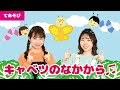 【手遊び】キャベツのなかから♫<振り付き>